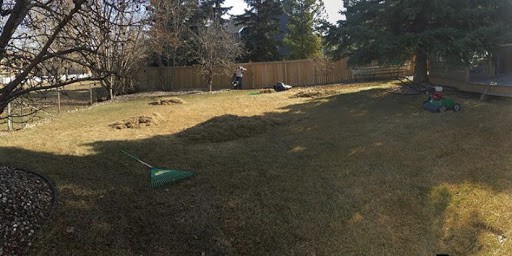 Spring Cleanup By Sharp Property Services