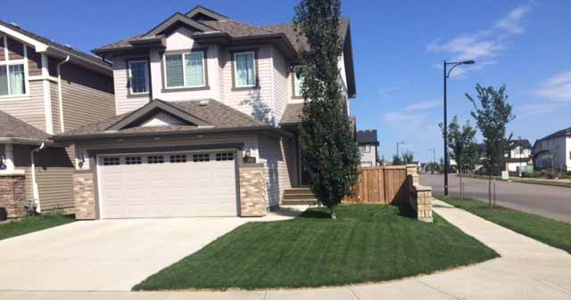 ​Tree (Arborist) Services in Edmonton